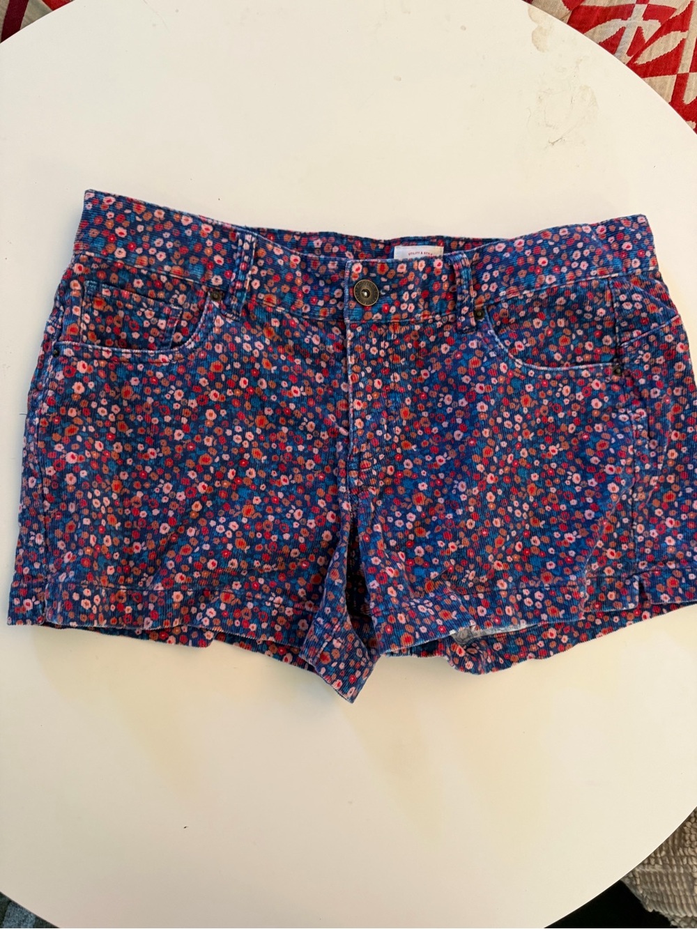 Mossimo Supply Co. Blue Floral corduroy Shorts